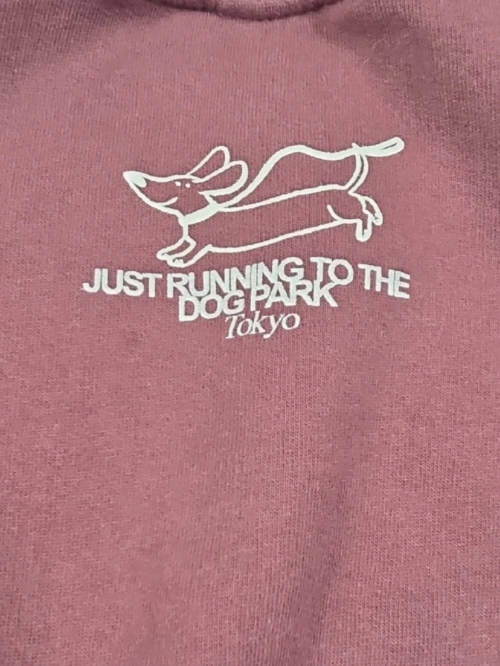 Zara Wine/Mauve Dog Park Graphic Sweatshirt
